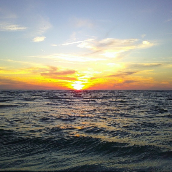 Addie - Picture 1 of 1